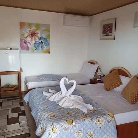 ゲストハウス Casa Ecaterina ドウア・マ