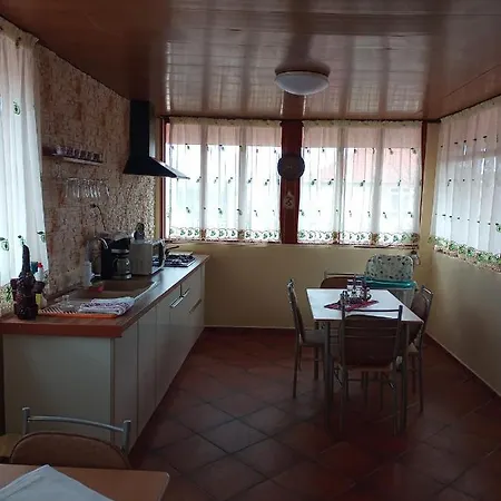 ゲストハウス Casa Ecaterina ドウア・マ