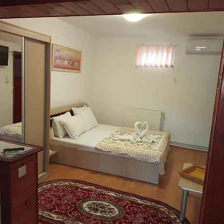 Casa Ecaterina ゲストハウス