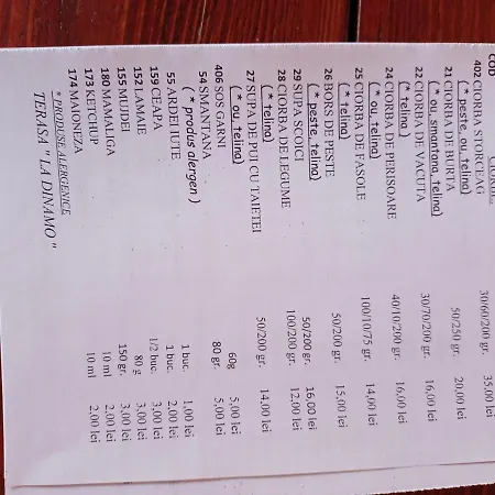 Casa Ecaterina ゲストハウス