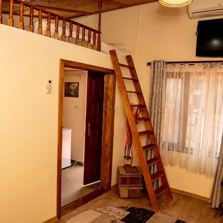 Casa Ecaterina ゲストハウス ドウア・マ