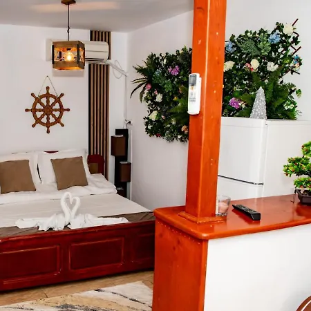 ゲストハウス Casa Ecaterina ドウア・マ